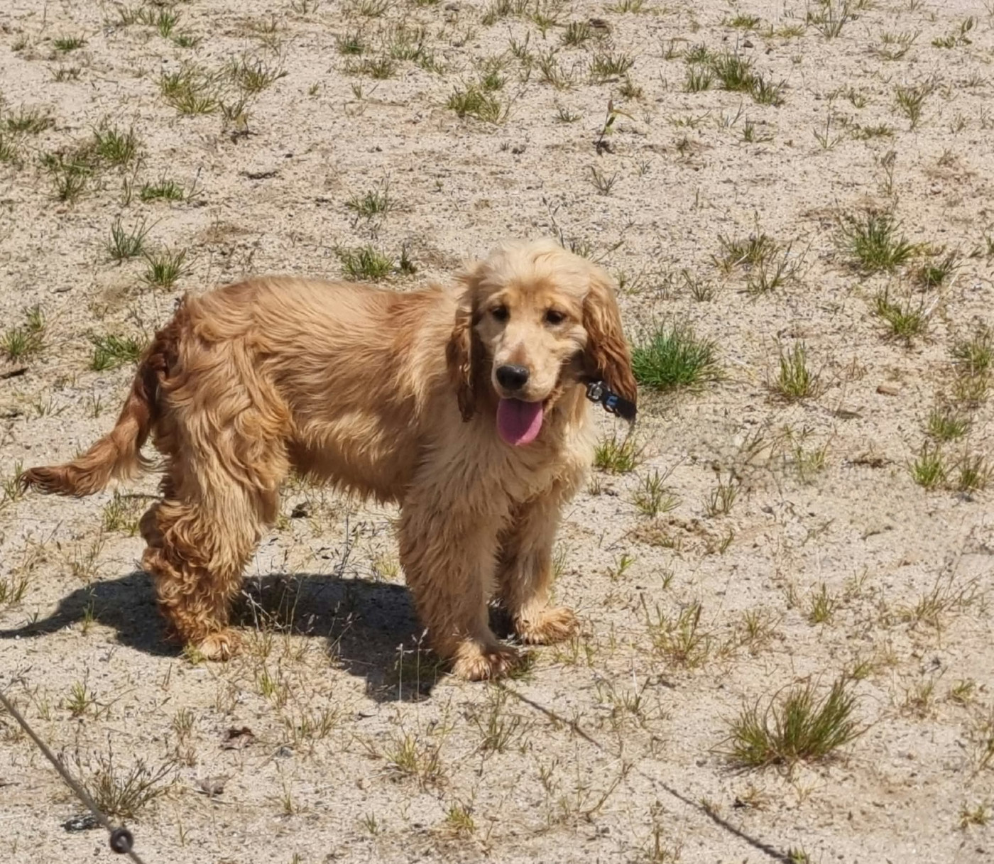 U'Tartine Du Souvenir De Tootsie