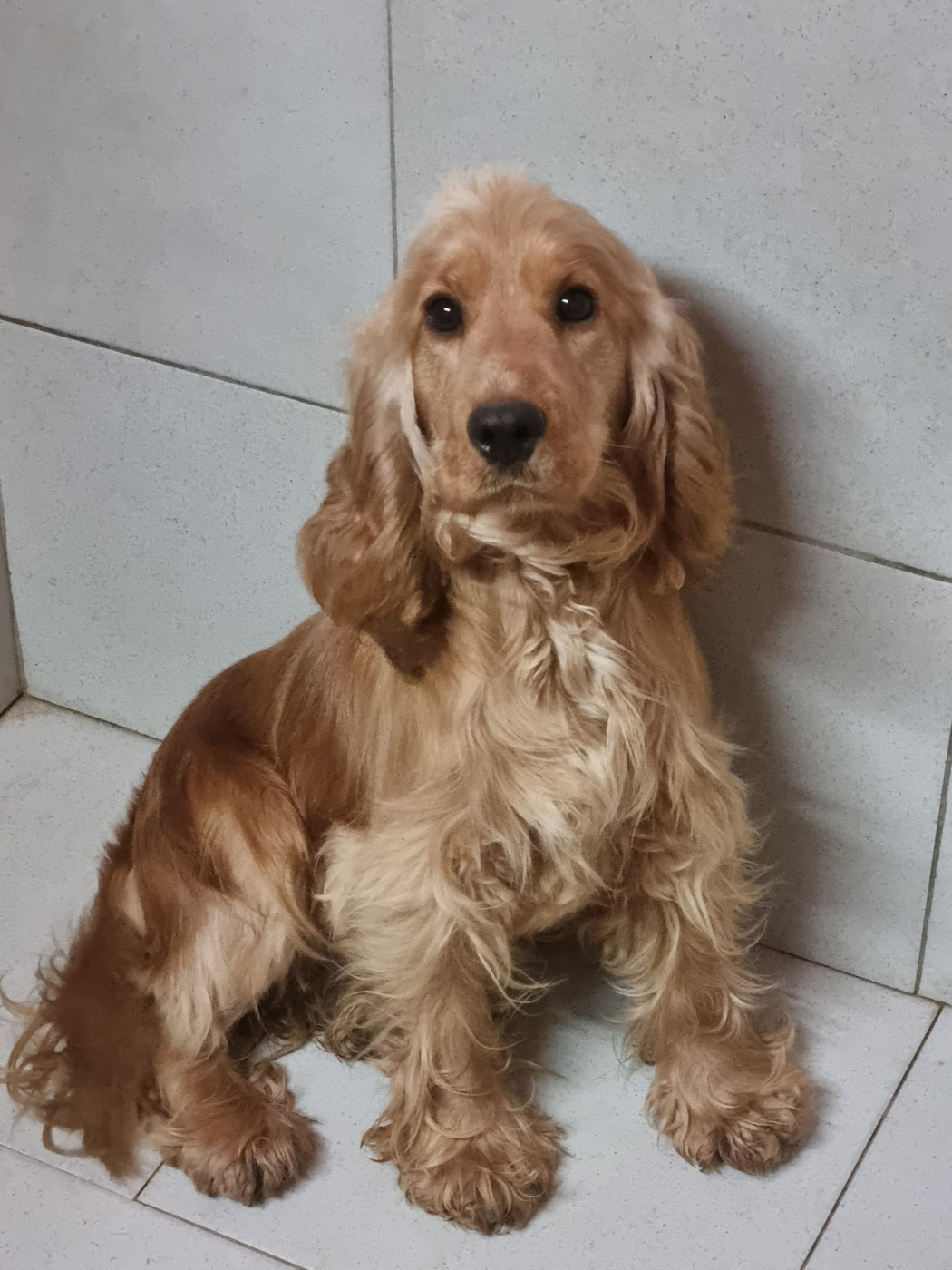 U'Tartine Du Souvenir De Tootsie