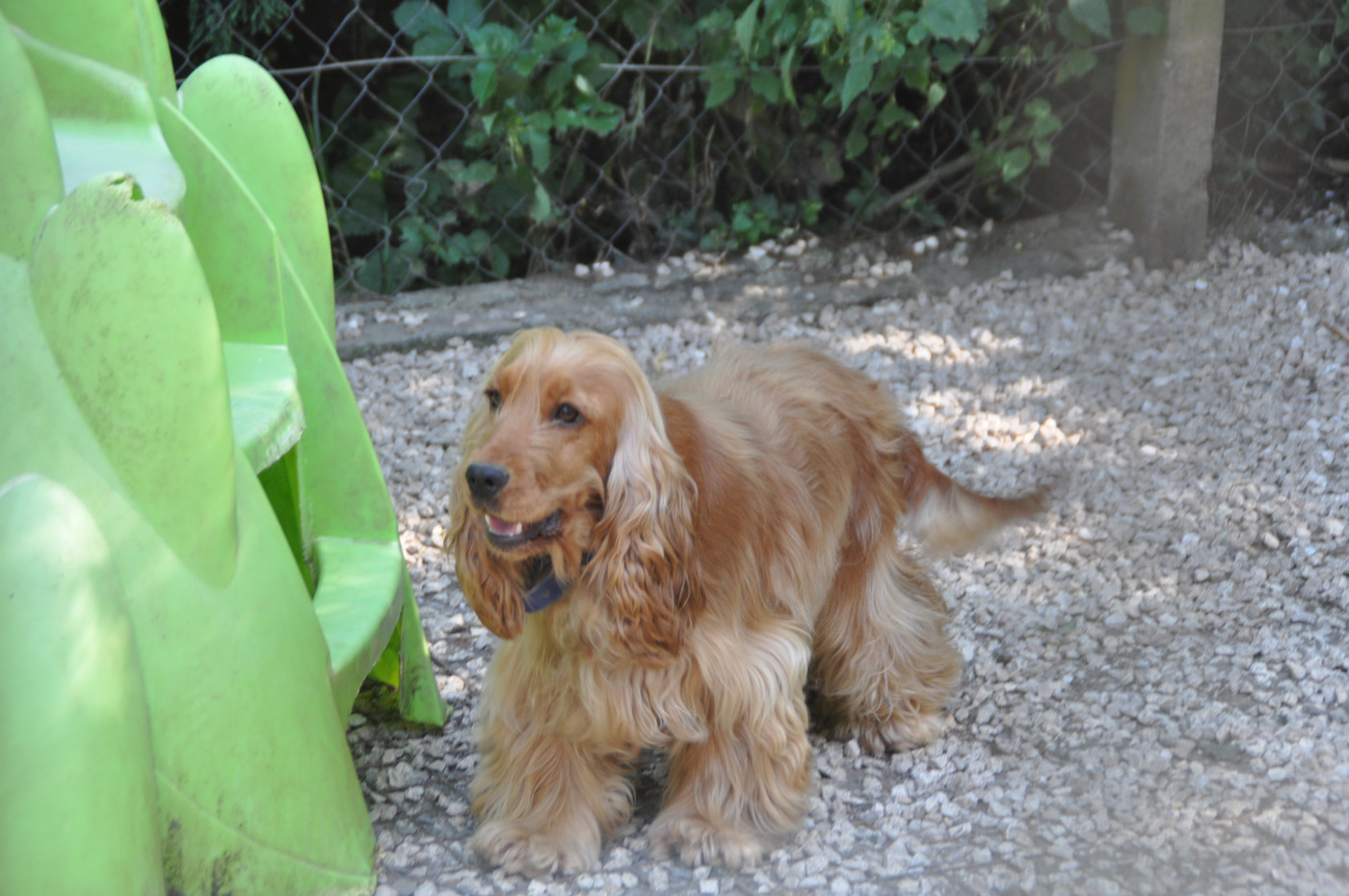Vanille Du Souvenir De Tootsie